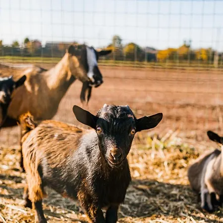 La Tenuta Di Santo Stefano Agri & Üdülőközpont *