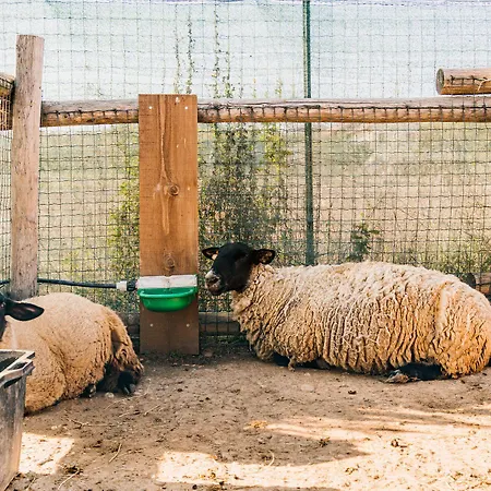 La Tenuta Di Santo Stefano Agri & Fossano